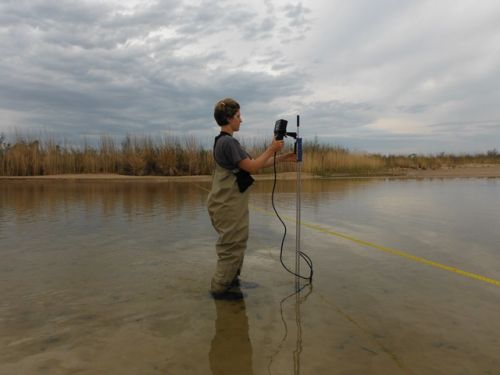 fourcanyonflowtracker